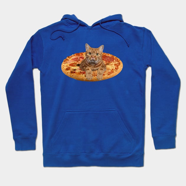 Pizza Cat Hoodie by Vince and Jack Official